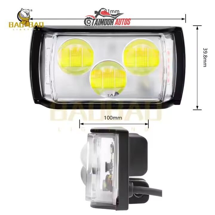 Dolphin Light 2in1